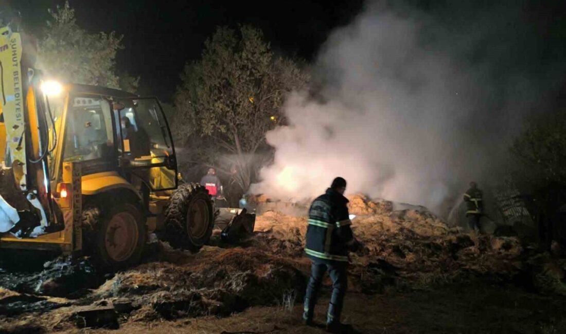 Afyonkarahisar’ın Şuhut ilçesine bağlı Bademli köyünde bulunan bir besihane yangınında