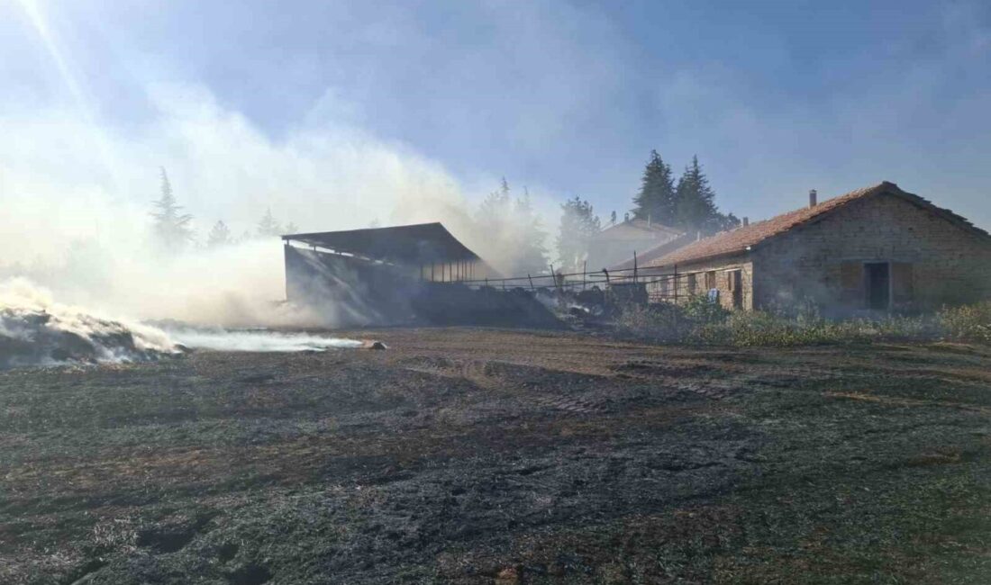 Konya’nın Beyşehir ve Hüyük ilçelerinde meydana gelen anız yangınları, bölge