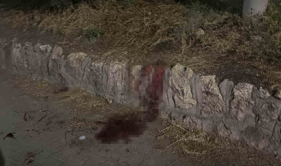 Eskişehir’de, Odunpazarı ilçesi Orhangazi Mahallesi Kütahya Yolu üzerinde iki grup