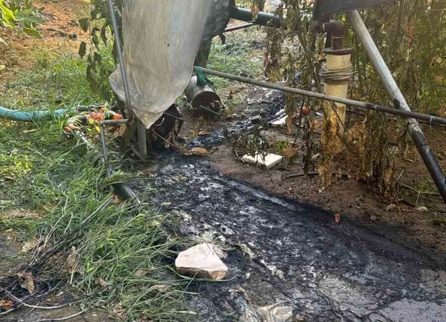 Bilecik’in Söğüt ilçesine bağlı Çaltı köyünde çalılık alanda meydana gelen