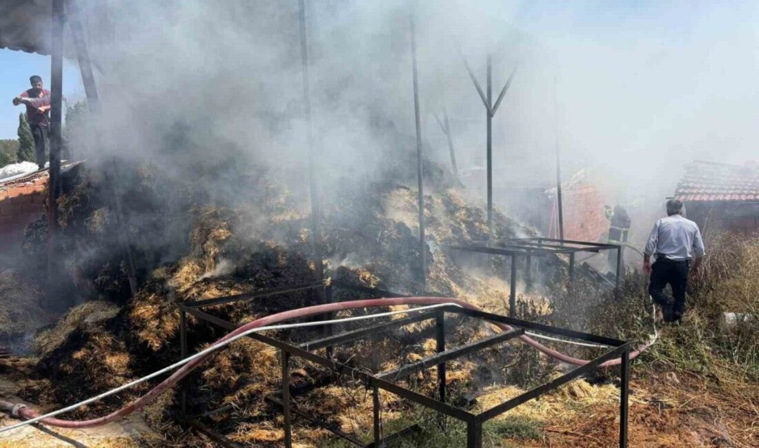 Bilecik’in Bozüyük ilçesindeki iki ayrı köyde meydana gelen yangınlar sonucunda