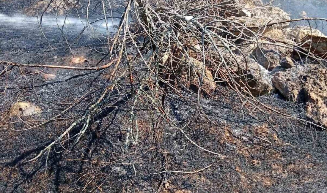 Gölpazarı ilçesine bağlı bir köy yakınında çıkan ot yangını kontrol