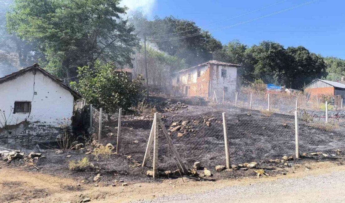 Bilecik’te dün meydana gelen ormanlık alana sıçrayan yangınla ilgili şüpheli