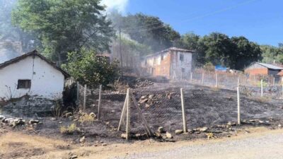 Bilecik’te dün meydana gelen ormanlık alana sıçrayan yangınla ilgili şüpheli