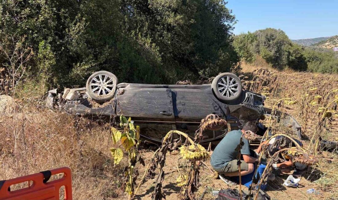 Bir trafik kazası sonucu Bilecik’te bir kişinin yaralandığı bildirildi. Kazanın,