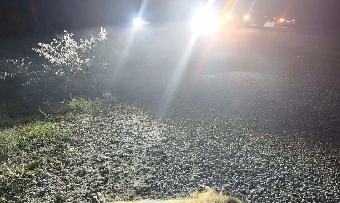 Bilecik’in Bozüyük ilçesinde meydana gelen bir olayda, bir aracın çarpması