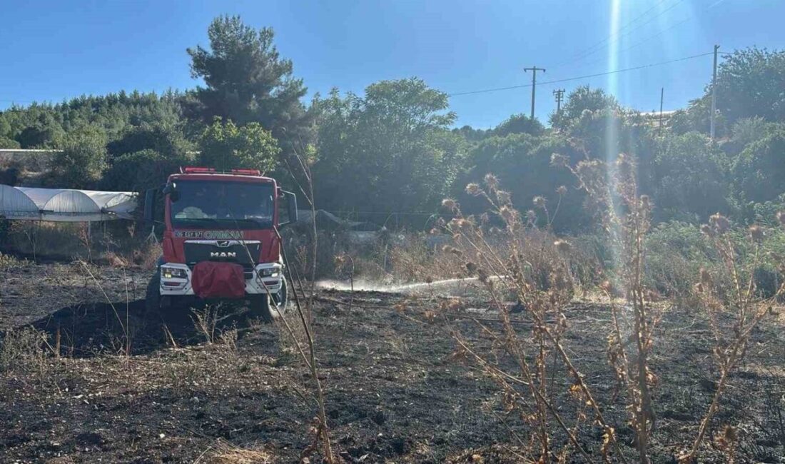 Bilecik’te, Hamitabat Köyü’nde meydana gelen ot yangını, çevresinde bulunan sera