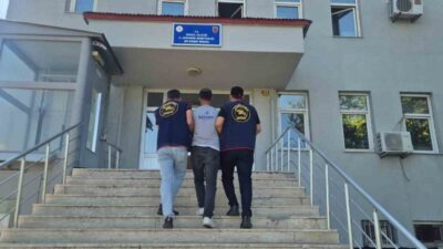 Bingöl ilinde Jandarma ekipleri tarafından gerçekleştirilen operasyonlarda 5 bin 176