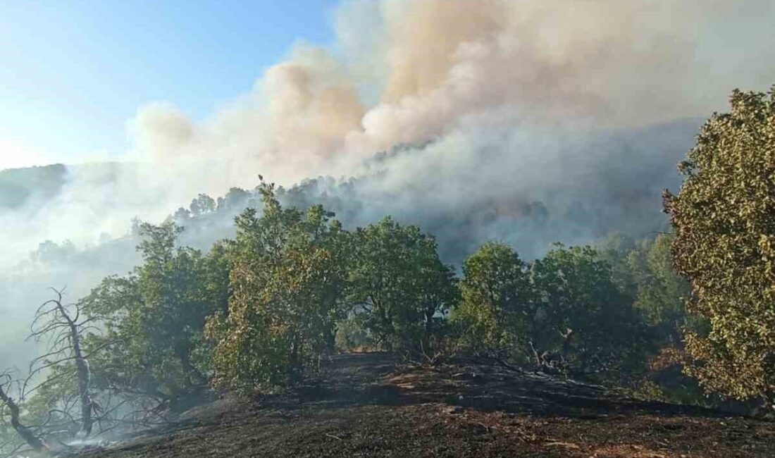 Bingöl’ün Genç ilçesinde meydana gelen orman yangını, ekiplerin müdahalesi sonucu