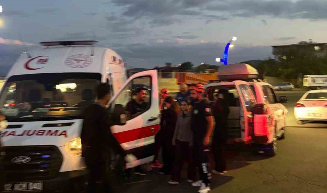 Bingöl ilinde meydana gelen trafik kazasında, Yenişehir Mahallesi İstiklal Marşı