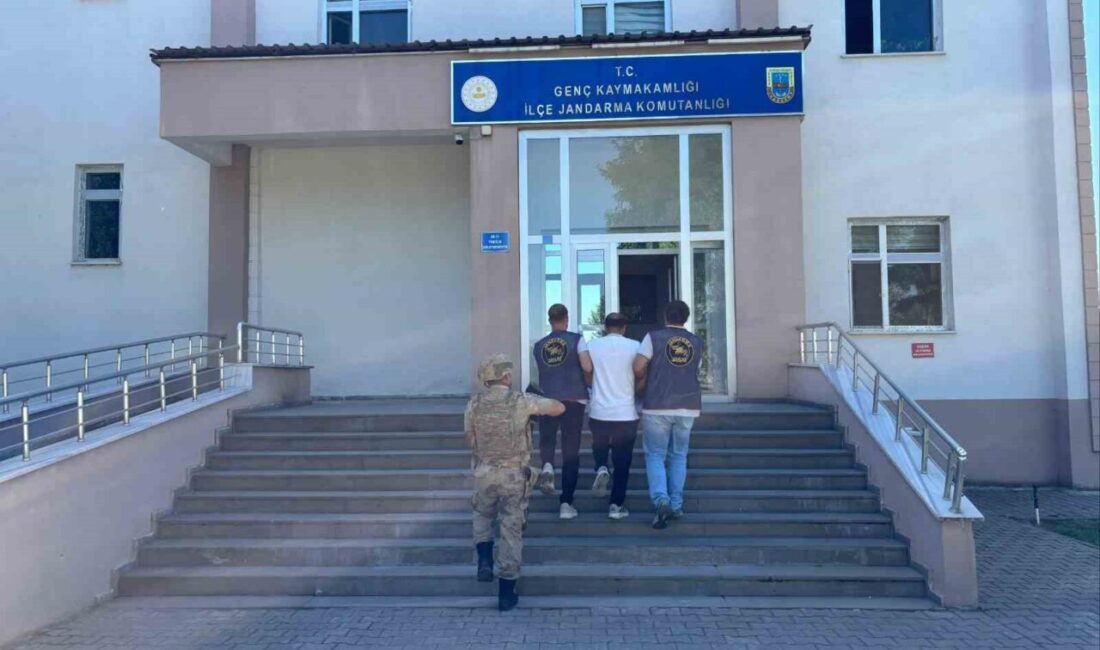Bingöl’de jandarma ekiplerinin bir hafta içinde yaptığı çalışmalar sonucunda, 41