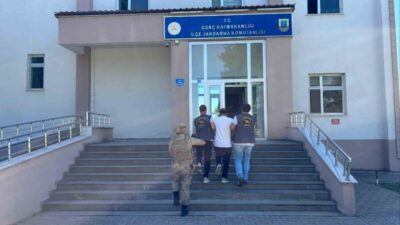 Bingöl’de jandarma ekiplerinin bir hafta içinde yaptığı çalışmalar sonucunda, 41