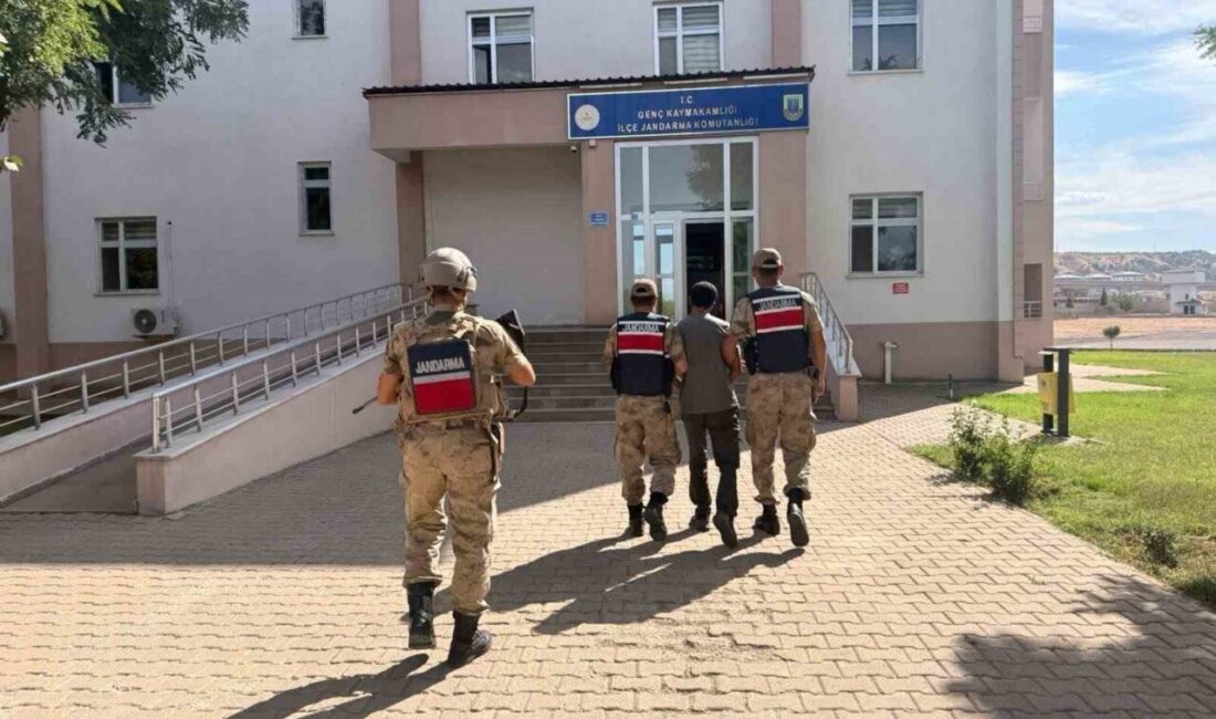 Bingöl’de jandarma ekipleri son bir hafta içinde gerçekleştirdikleri operasyonlarda çeşitli