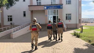Bingöl’de jandarma ekipleri son bir hafta içinde gerçekleştirdikleri operasyonlarda çeşitli