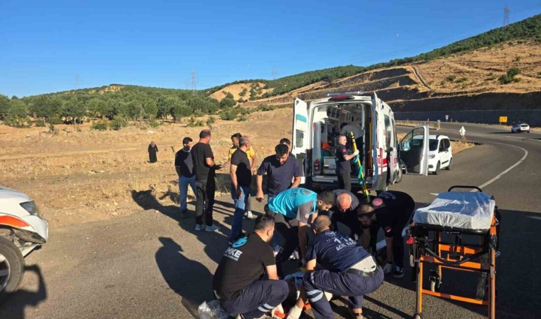 Bingöl ilinde, bir kamyonetin sürücüsünün kontrolünü kaybetmesi sonucu şarampole devrilmesi