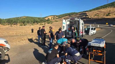 Bingöl ilinde, bir kamyonetin sürücüsünün kontrolünü kaybetmesi sonucu şarampole devrilmesi