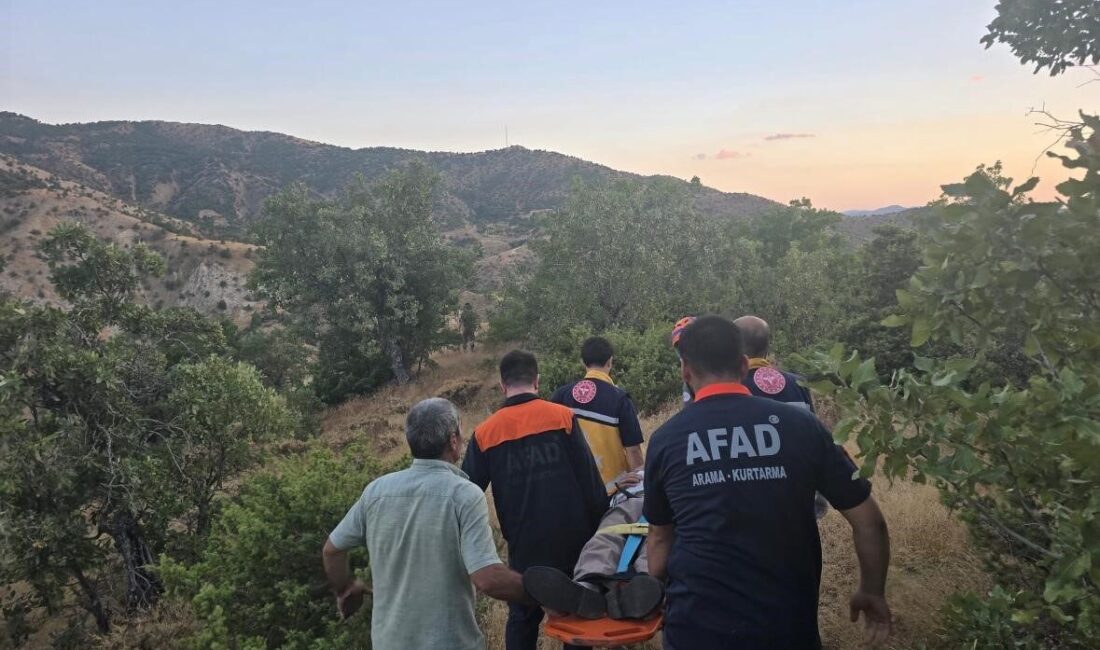 Bir kişinin Bingöl’ün Genç ilçesine bağlı Servi köyünde ormanlık alanda