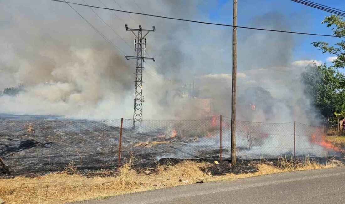 Bingöl’de, Güveçli köyü yakınlarındaki otluk alanda meydana gelen yangın, ekiplerin