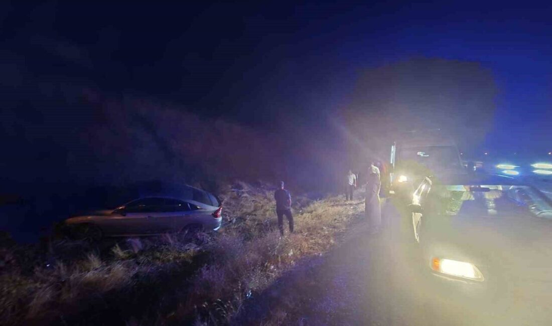 Bingöl’de yaşanan trafik kazasında, sürücü kontrolünü kaybettiği aracın yoldan çıkması