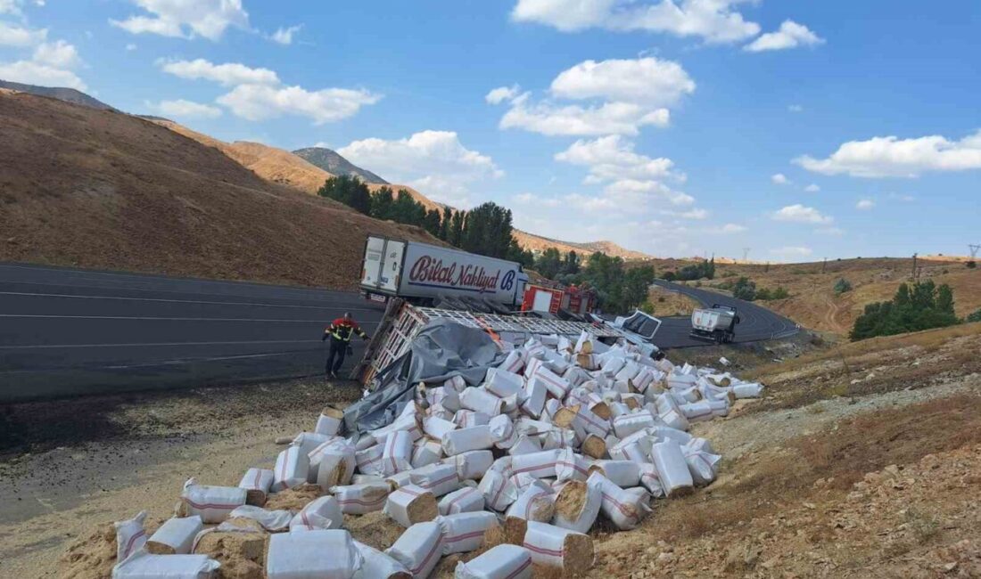 Bir kişinin yakalandığı Bingöl’de meydana gelen trafik kazasında saman yüklü