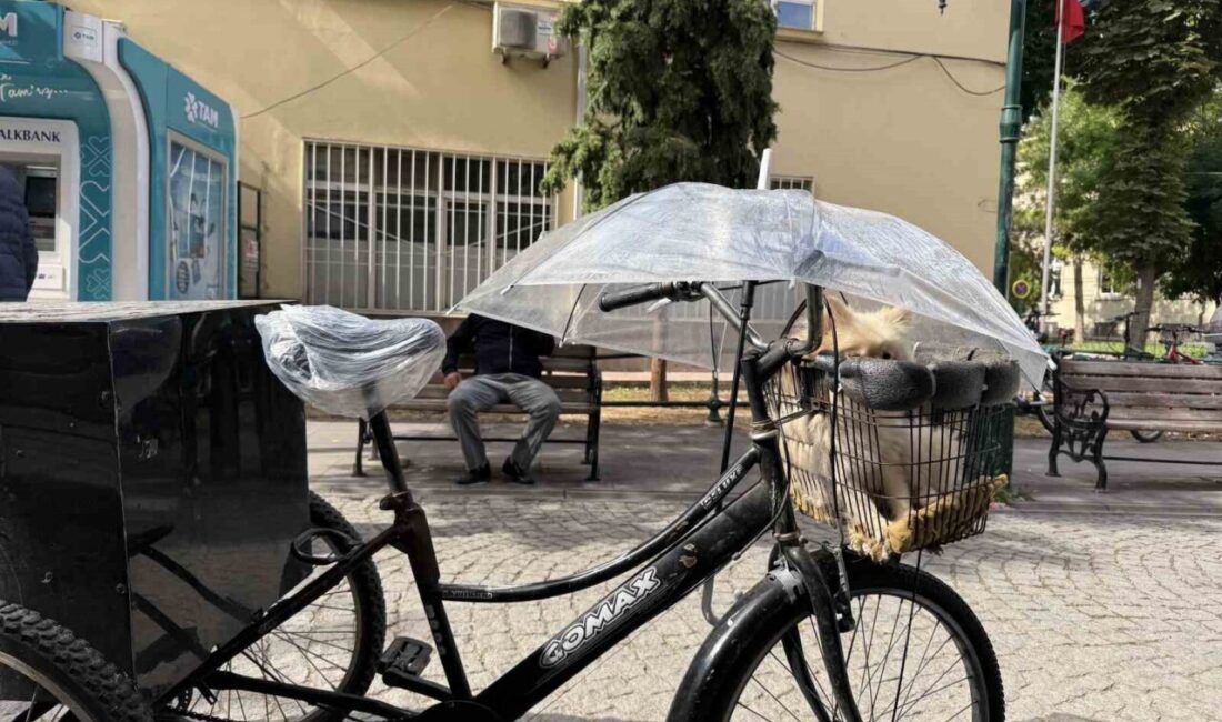 Eskişehir’de, odunpazarı ilçesine bağlı Arifiye Mahallesi İnhisar Sokak’ta sağanak yağış