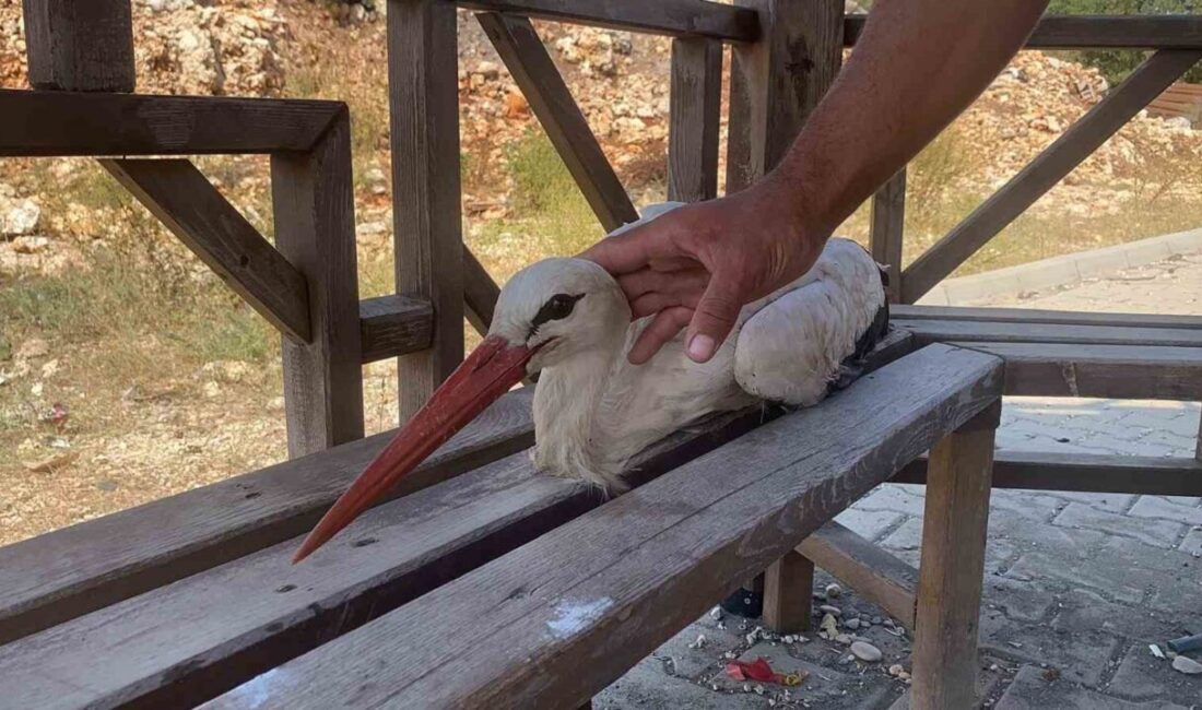 Erdemli ilçesinde, Kösereli Mahallesi’nde meydana gelen olayda, yere bitkin düşen