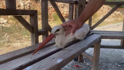 Erdemli ilçesinde, Kösereli Mahallesi’nde meydana gelen olayda, yere bitkin düşen