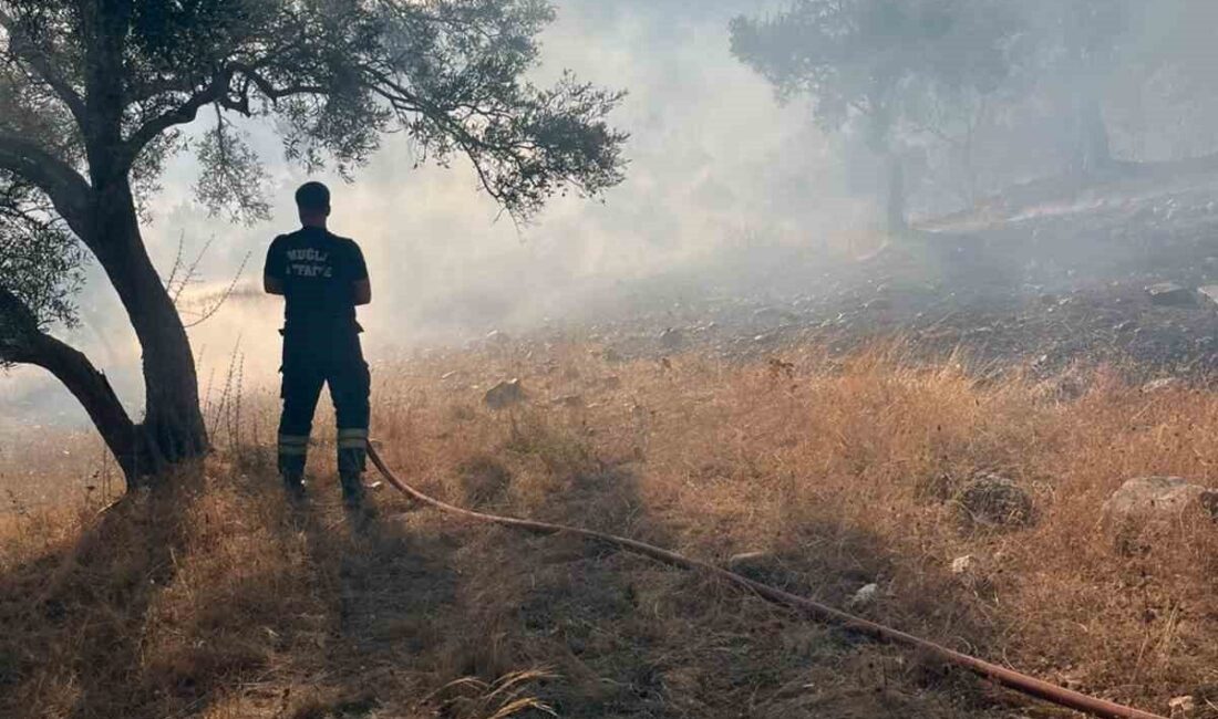 Muğla’nın Bodrum ilçesine bağlı Milas karayolunda bulunan Kemikler Mahallesi’nde çıkan