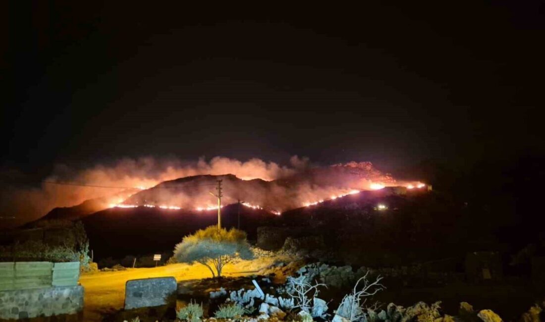 Bodrum ilçesinde, akşam saatlerinde otluk ve makilik alanda başlayan yangın,