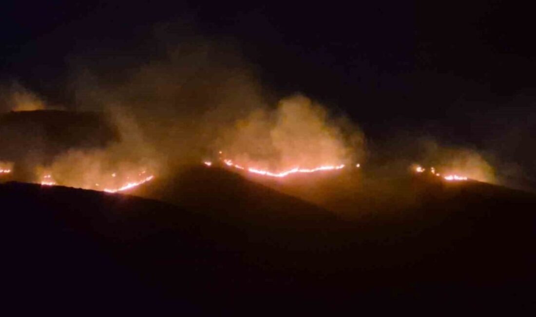 Muğla’nın Bodrum ilçesinde, Mandıra mevkisinde akşam saatlerinde çıkan geniş alana