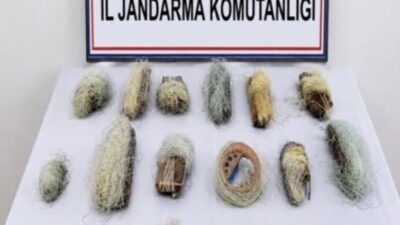 Bolu’nun Dörtdivan ilçesinde gerçekleştirilen gölet denetiminde, 15 kaçak ağ bulundu