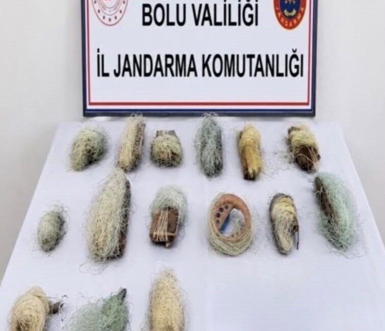 Bolu’nun Dörtdivan ilçesinde gerçekleştirilen gölet denetiminde, 15 kaçak ağ bulundu