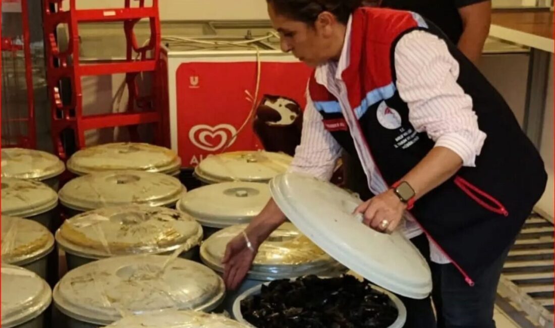 Bolu’da jandarma ekiplerinin yapmış olduğu denetimde 18 kova içinde yaklaşık