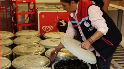 Bolu’da jandarma ekiplerinin yapmış olduğu denetimde 18 kova içinde yaklaşık