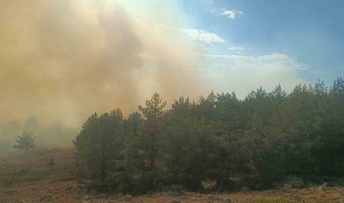 Bolu’nun Gerede ilçesinde çıkan yangın, otluk alandan başlayıp ormanlık alana