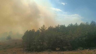Bolu’nun Gerede ilçesinde çıkan yangın, otluk alandan başlayıp ormanlık alana