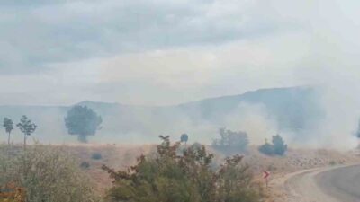 Bolu’nun Seben ilçesinde boş arazide meydana gelen yangın, ormanlık alana