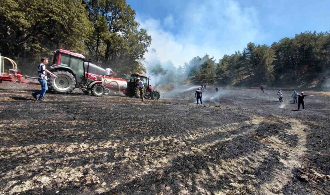 Bolu’nun Mudurnu ilçesinde, bir evin bahçesinde başlayan yangın, rüzgarın etkisiyle