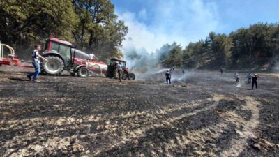 Bolu’nun Mudurnu ilçesinde, bir evin bahçesinde başlayan yangın, rüzgarın etkisiyle