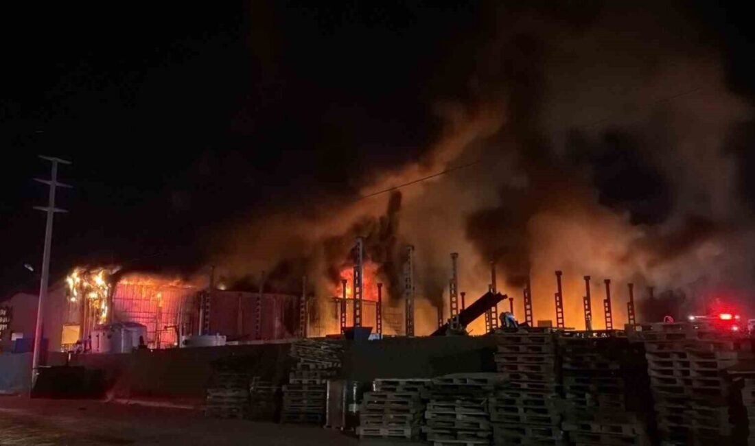 Bolu’nun Gerede ilçesinde bulunan bir geri dönüşüm fabrikasında çıkan yangın
