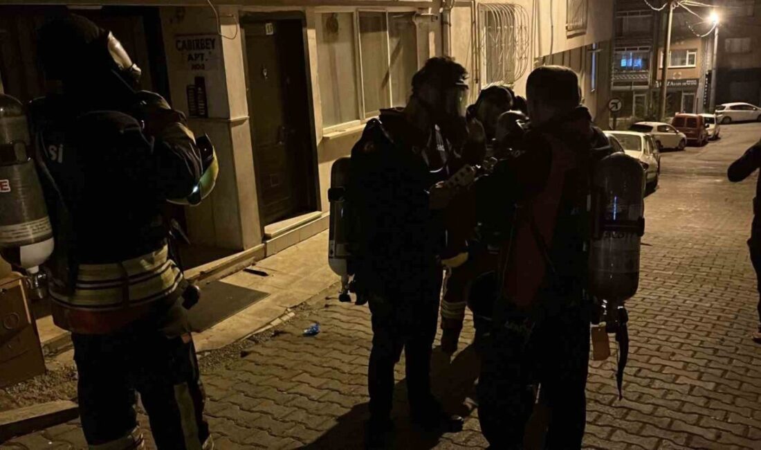 Bolu’da gerçekleştirilen sinek ilaçlamasının ardından, kokudan etkilenen bir astım hastası