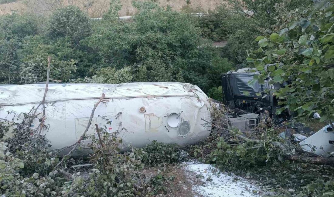 Bolu’nun Mudurnu ilçesi ile Sakarya’nın Akyazı ilçesini birbirine bağlayan karayolunda