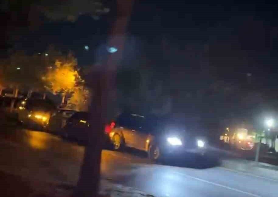 Bolu’da, 2 köpeğin aniden yola fırlaması sonucu 5 aracın karıştığı