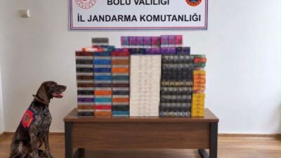 Bolu’da jandarma ekipleri tarafından TEM Otoyolu’nda durdurulan yolcu otobüslerinde yapılan