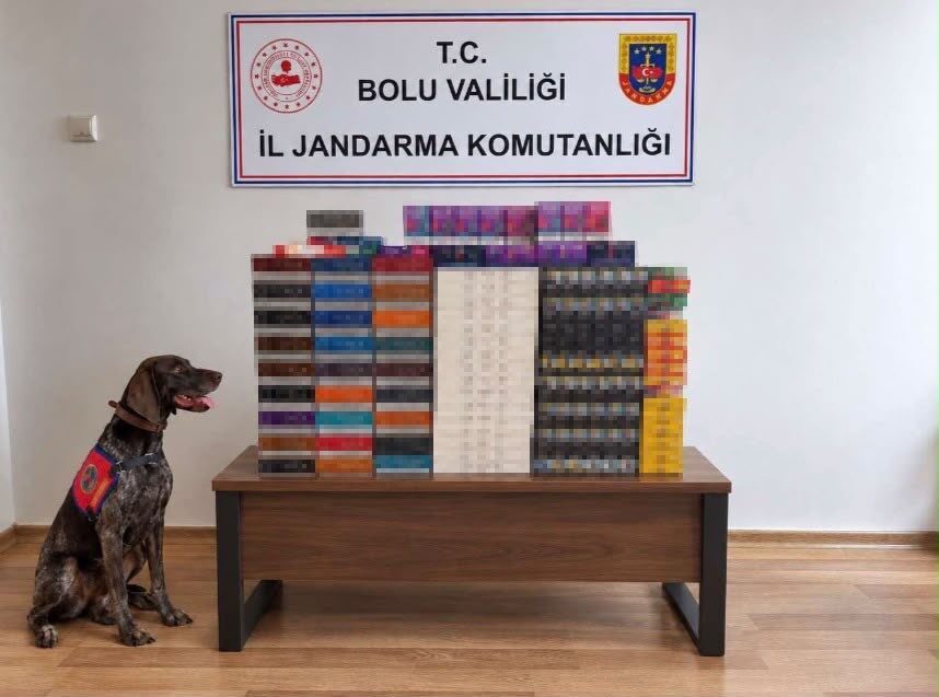 Bolu’da jandarma ekipleri tarafından TEM Otoyolu’nda durdurulan yolcu otobüslerinde yapılan