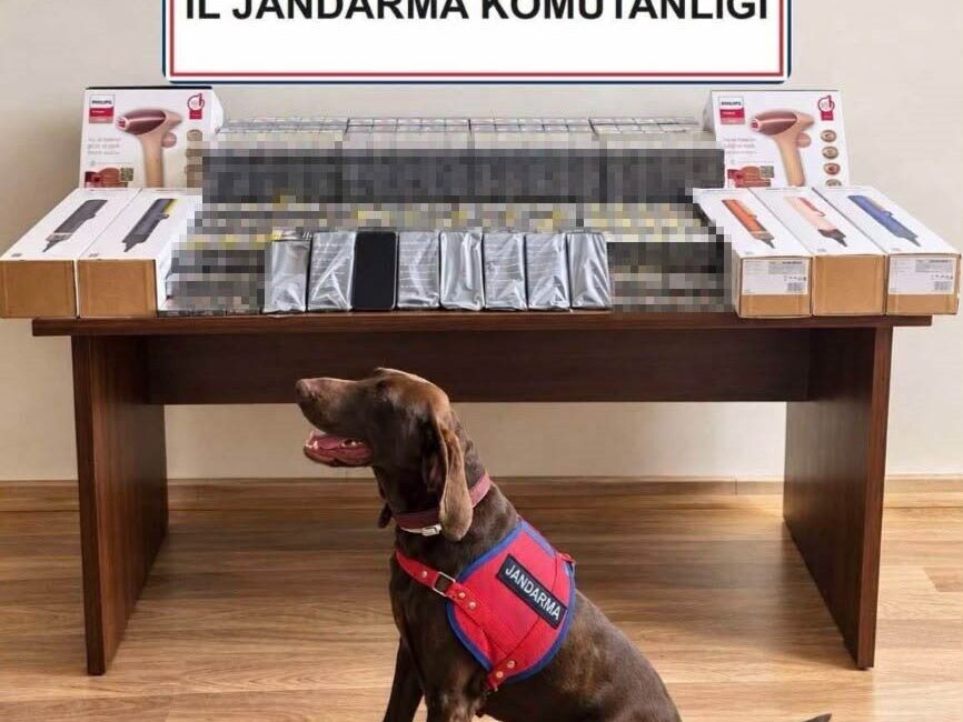 Bolu’da, Jandarma ekipleri tarafından kaçakçılıkla mücadele kapsamında bir yolcu otobüsünde