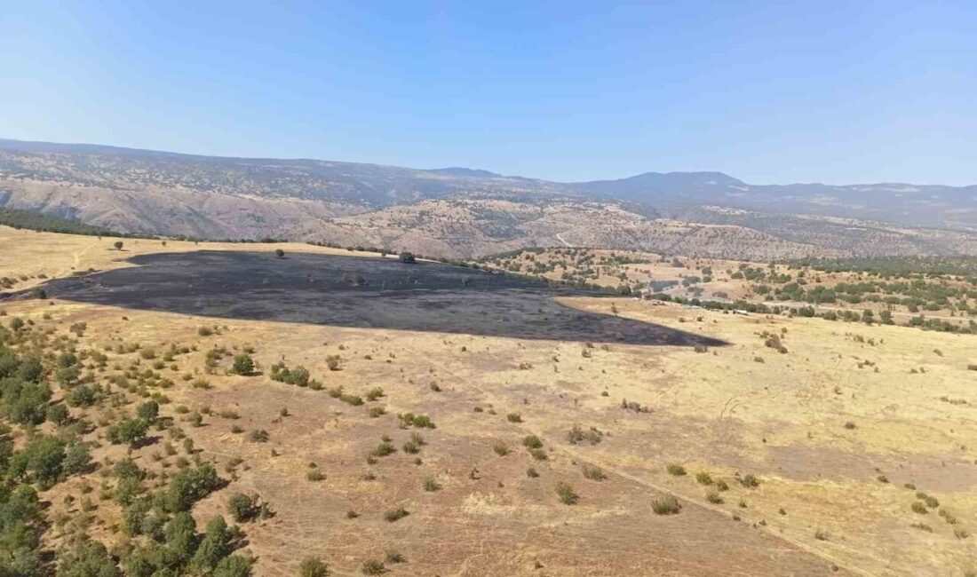 Bolu’nun Kıbrıscık ilçesine bağlı Bali köyünde meydana gelen orman yangını,