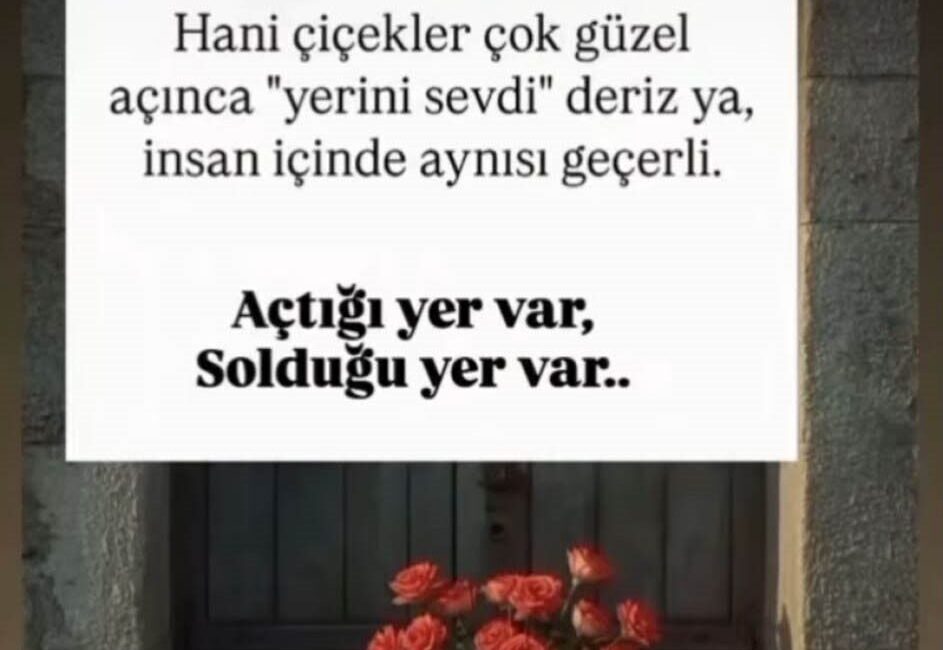 Hatay’da, 20 Eylül akşamı meydana gelen olayda, Payas ilçesi Yenişehir