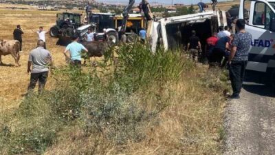 Kırşehir’in Boztepe ilçesinde bir hayvan taşıyan tır devrildi. Boztepe ilçesi