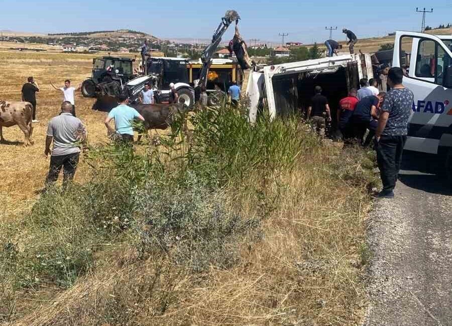 Kırşehir’in Boztepe ilçesinde bir hayvan taşıyan tır devrildi. Boztepe ilçesi